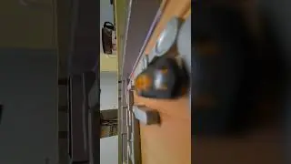 Cockroach Olympics featuring @heidiespidey #chr0m4t1c #cockroach #kakerlakak #olympics
