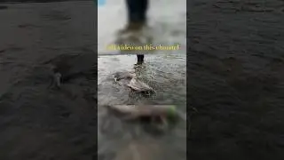Catfish😱 🎣 #fishing #bigheadfish #fishspecies #bigrohu #invasivespecies #shortsfeed #shorts