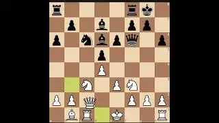 Sundaychesstv- Finnish chess player 1-0 #chess #covua #nguyenthehoan #quick #checkmate
