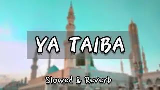 Ya Taiba | Slowed & Reverb | By @AyishaAbdulBasith | Striver Muslim | Lo-fi | Beautiful Naat