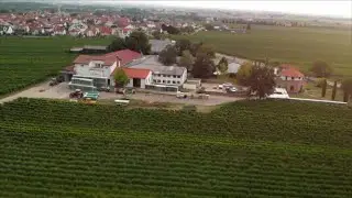 Mini CHP for one of the biggest vineyards in Germany