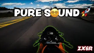 RAW SOUND🔥 | Ninja ZX6R [4K] POV