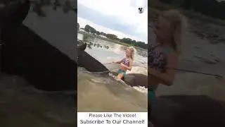 Funny Dogs Videos 2022 - Funny Animals TV #1762 #shorts