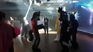 Confuzzled 2018 - Lets Play.