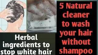 5 ways to wash hair naturally without shampoo, Bina shampoo k ballon ko kaise wash karen, diy shampo