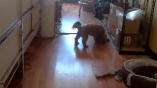VID-20131009-00000