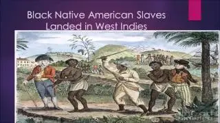 Indigenous Black Native American Triangular Trade