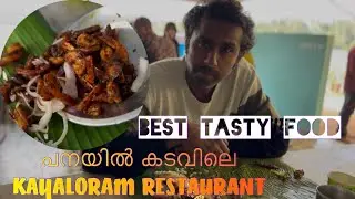പനയിൽ കടവിലെ KAYALORAM RESTAURANT #travel #food #foodie #trending g