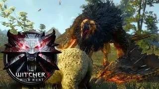 The Witcher 3 - Griffin fight [1080p 60fps]
