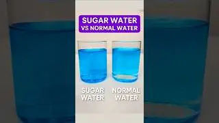 Amazing Water Density Experiment for kids and Teachers #craftchutney2 #athome #science #experiment