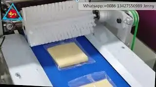 Pillow Bag dumpling frozen empanel Packing Machine ravioli/dumpling cheese automatic packing machine