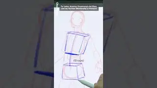 Drawing routine s1-002 #anatomy #drawing #chommang
