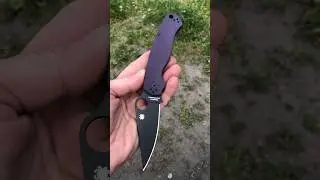 Spyderco Paramilitary 2 - Purple G-10 - Black Cru-Wear Blade