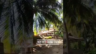 Budget stay cations @ #pollachi,Tamilnadu||YES YES FARM STAY #duoxplorer #pollachihousetamil #shorts