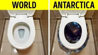 Strange Things You&rsquo;ll Never Believe Are Banned in Antarctica