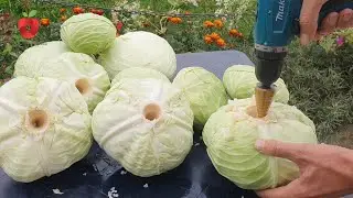 Приготовление квашеной капусты простым способом