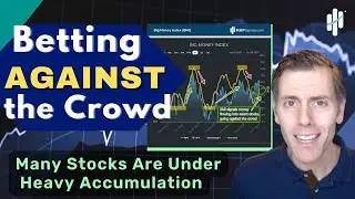 Betting Against the Stock Market Crowd | Herd Mentality is Costly