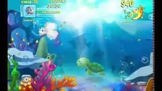 Hungry Fish Eat HD - Рыбка съешь рыбку HD