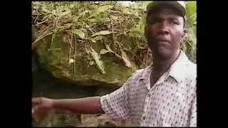 The Caves of Cave Valley  |  St. Ann, Jamaica
