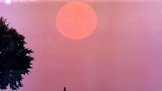 Summer of the 