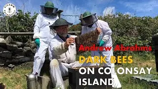 Andrew Abrahams - Beekeeping on Colonsay Island