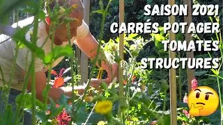 Retours d'exp&eacute;rience saison 2021 ► Carr&eacute;s potager - Tomates - Structures (+ Pr&eacute;sentation TERRA)