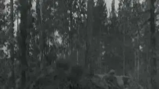 А зори здесь тихие, серия