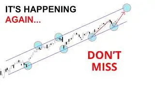 Technical Analysis of Stocks: SPY / QQQ / NVDA / TSLA / AMD / PLTR / ARM / COIN / BTC