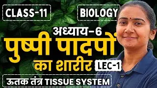 L-1, उत्तक तंत्र, अध्याय-6, पुष्पी पादपों का शारीर | Class-11th Biology | कक्षा-11 जीवविज्ञान