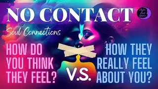 Soul Connections NO CONTACT Is Your INTUTION CORRECT? How do they REALLY FEEL vs What You Think? 💘
