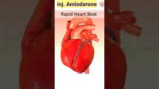 Inj. Amiodarone route and uses #shorts