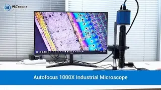 Autofocus 1000X Coaxial Light Microscope | High Magnification Microscope for Electronics Inspection