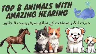 Top 8 Animals with Amazing Hearing | animal senses | animal sounds #animals #amazing #viral #video