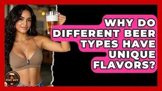 Why Do Different Beer Types Have Unique Flavors? - The Pint Guy