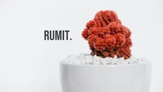 Rumit - Langit Sore (Lirik)