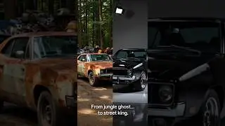 &ldquo;We Cleaned a Forgotten 1970 Dodge Charger&hellip; Unreal Result&rdquo;