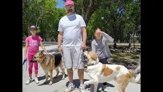 QUARANTINE DOG WALK!!🐕