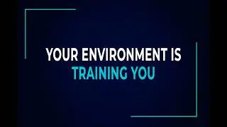 Your Environment Is Training You