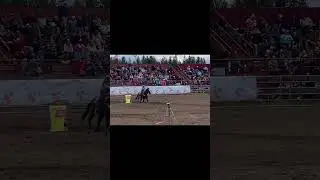 Have people fill it #flyguy #barrelracing #fyp #blizzard