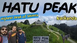 Hatu Peak trek (Narkanda, Shimla). 