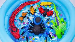 🦈Toy ASMR🦈RC Terra Spider & RC Naja Cobra Snake & RC Butterfly& Lizard ASMR Satisfying with Unboxing