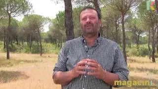Do&ntilde;ana, espacio natural