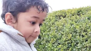 The Ostrich#BabyFirsts#ZooDay#FamilyVlog#GiantBirds#NewYearVlog#ToddlerMoments#ostrich#ytshorts#new