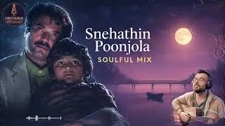 Snehathin Poonchola | Ambient Slow Mix | Pappayude Swantham Appoos | Suneesh Sundar