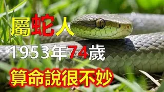 1953年屬蛇人，2026年算命說很不妙#2026蛇#生肖蛇 #1953蛇