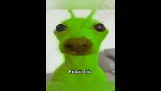 Aliens are real #dog #funny #fyp #meme #georgieebom