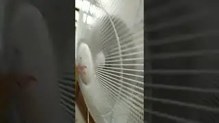 30 krisbow stand fan