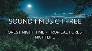Free Pro Sound FX - Tropical Forest Nightlife (Direct Download)