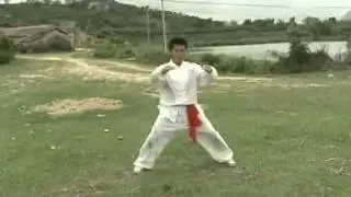 Tiger Cub / Jungle Cat form, Ha Say Fu / Ten Animal Hung Kuen