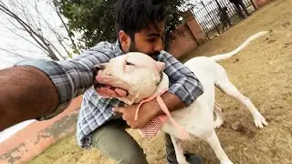 Hunter ne kaat liya 😔
